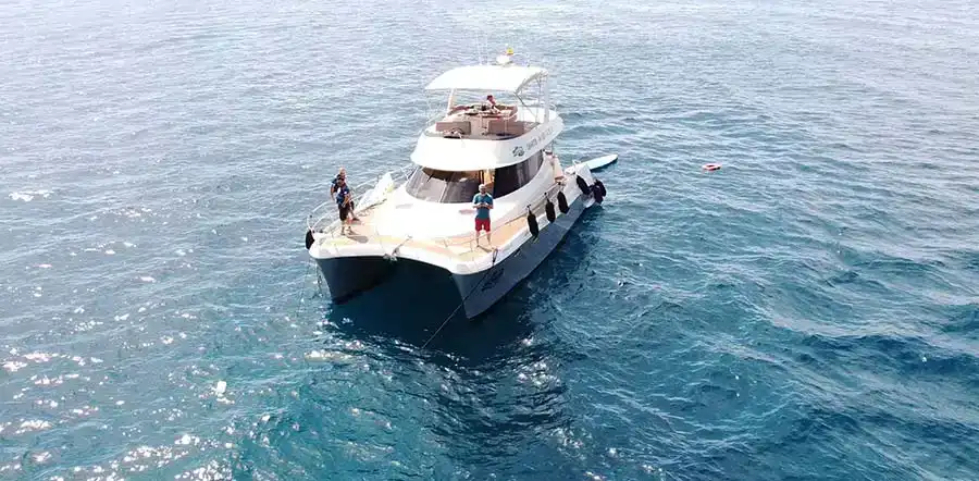 Catamaran Experience